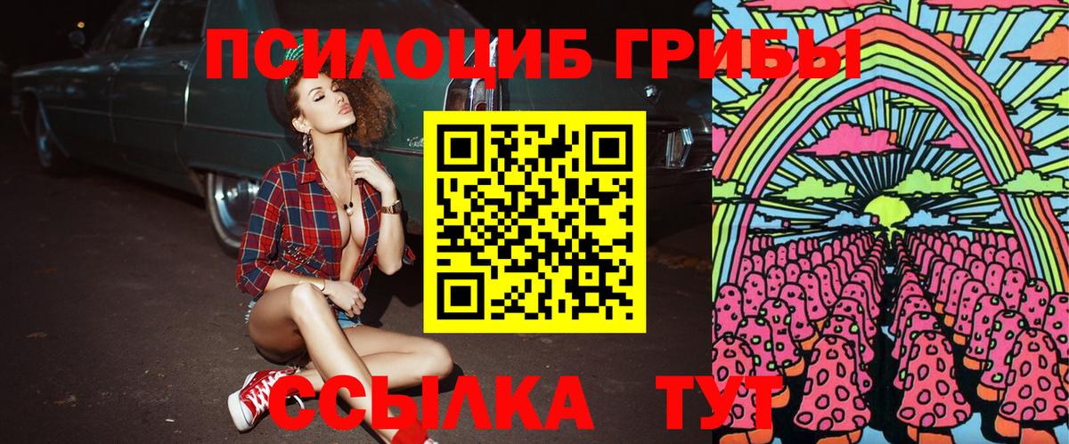 Псилоцибиновые грибы Psilocybine cubensis  Вход с VPN  Красноармейск 